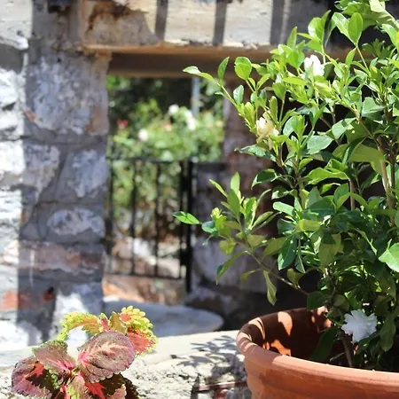 Melita Traditional Stone House * Pírgos Dhiroú
